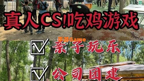 真人游戏