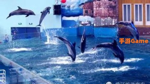 海豚恋人