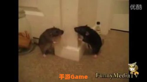 搞笑视频短片下载