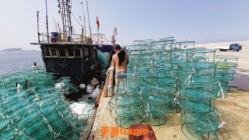 捕蟹笼